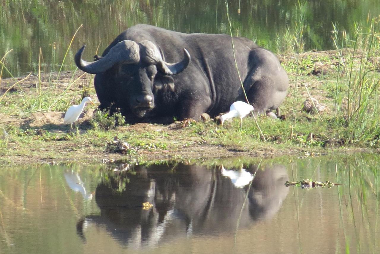 Crocodile Bridge Safari Lodge Komatipoort Bagian luar foto