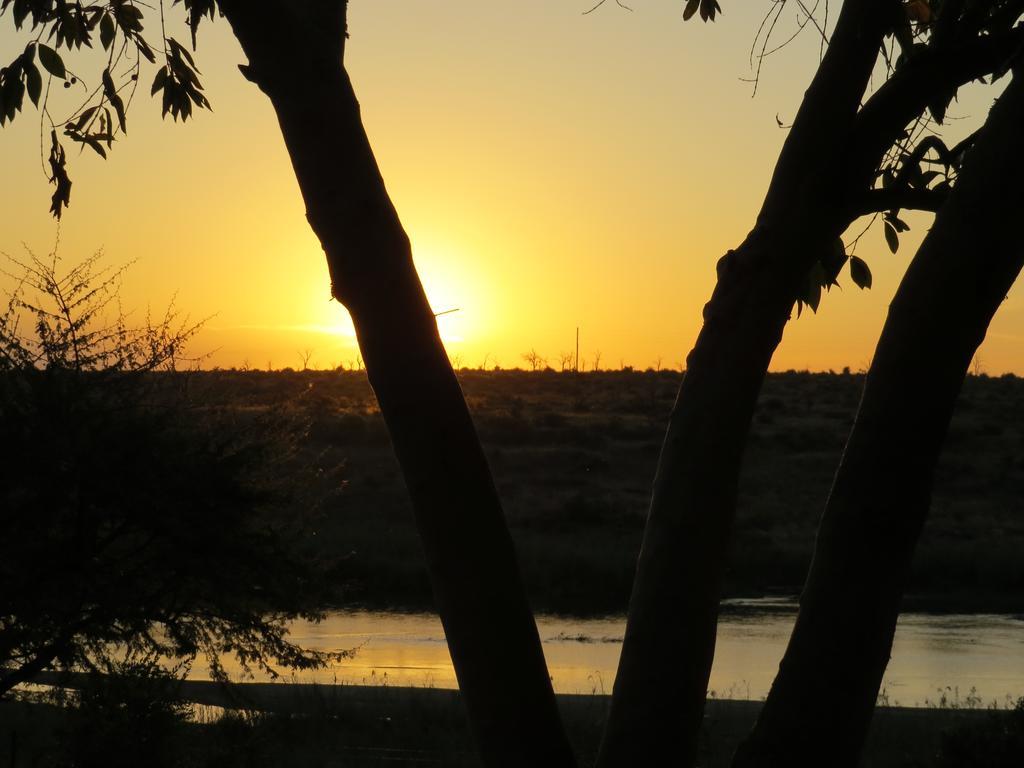 Crocodile Bridge Safari Lodge Komatipoort Bagian luar foto